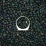 Inselmomente - Ring